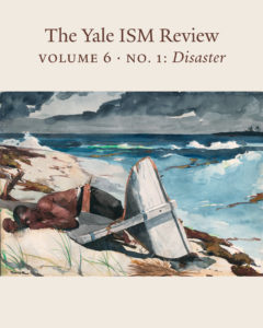 ISM Review Cover Volume 6 No. 1 Disaster
