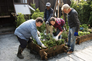 People working in a community garden.